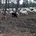 En Romari Kır Evi