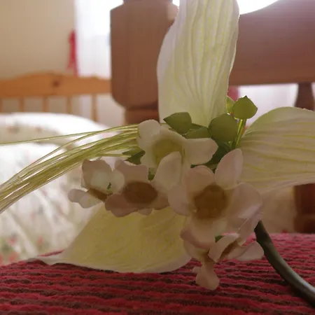 Casa de Campo En Romari