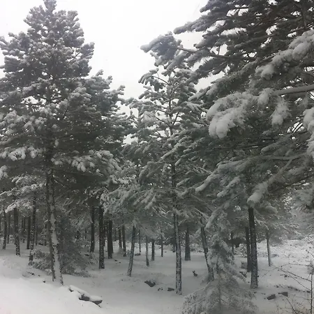 En Romari 乡村民宿