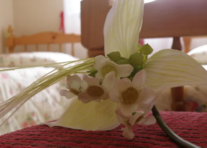 Casa de Campo En Romari