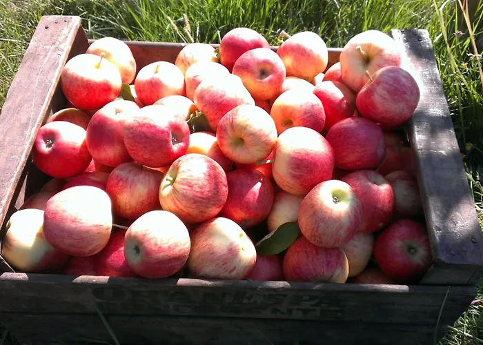 Casa de Campo En Romari *