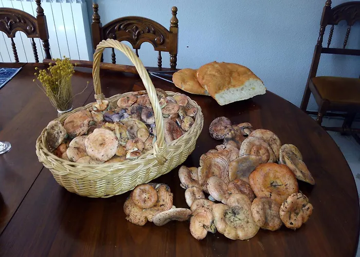 En Romari Casa de Campo